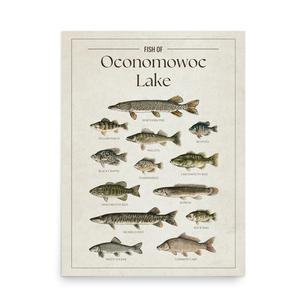 Oconomowoc Lake Print