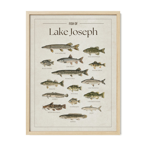 Lake Joseph Print