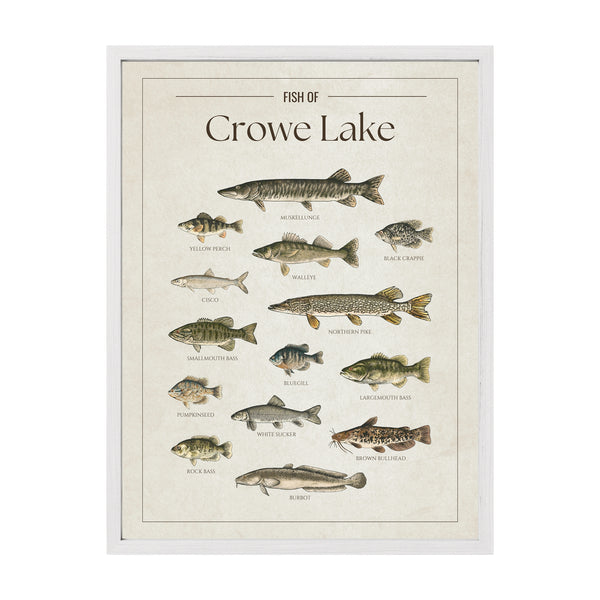 Crowe Lake Print