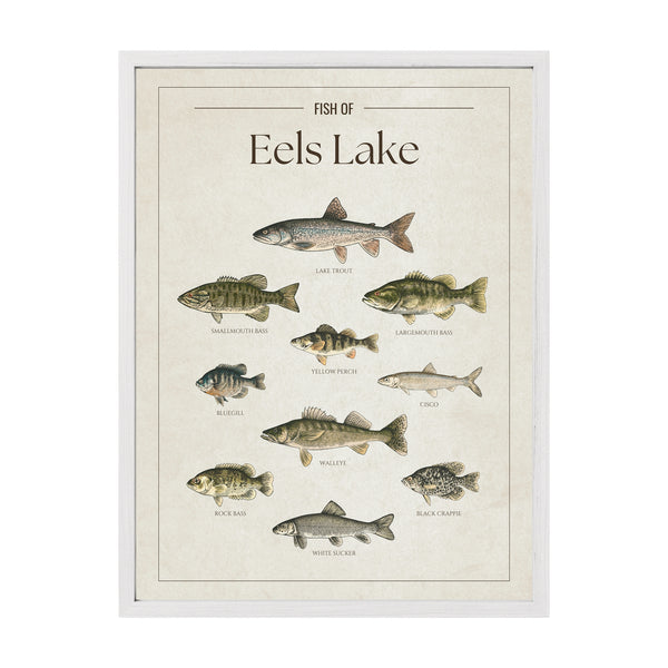 Eels Lake Print