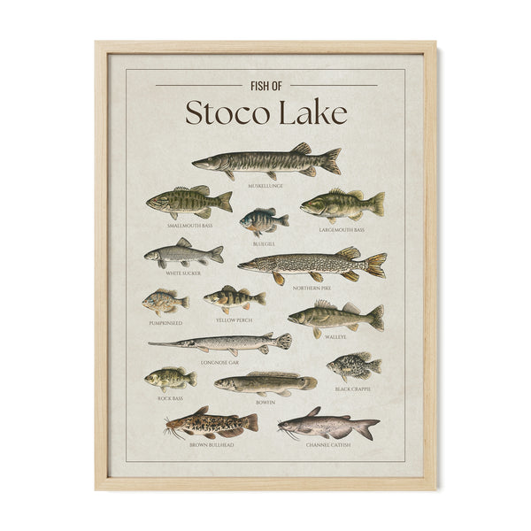 Stoco Lake Print