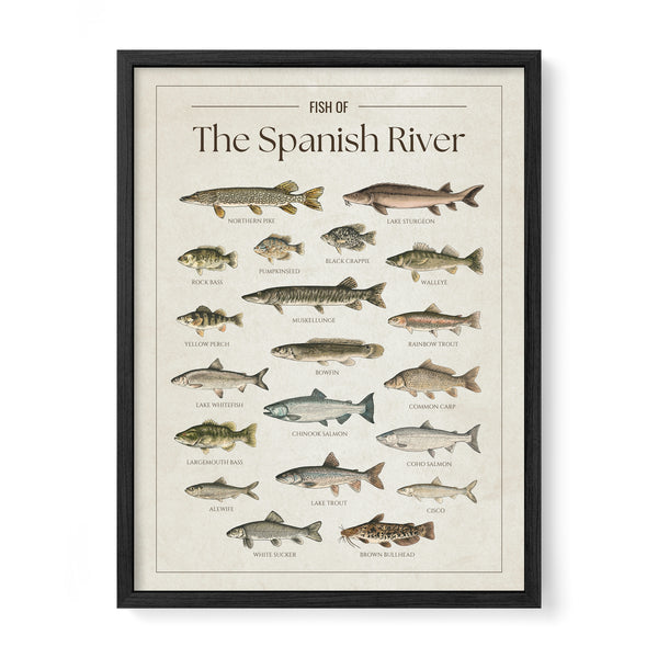 Spanish River Print