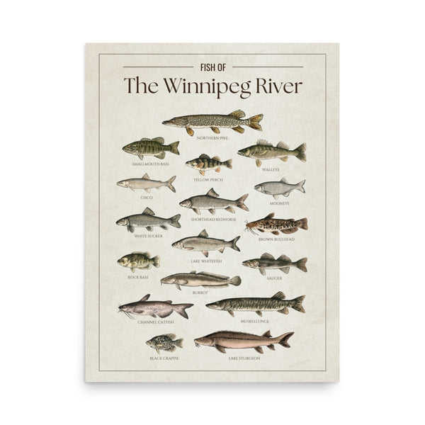 The Winnipeg River Print