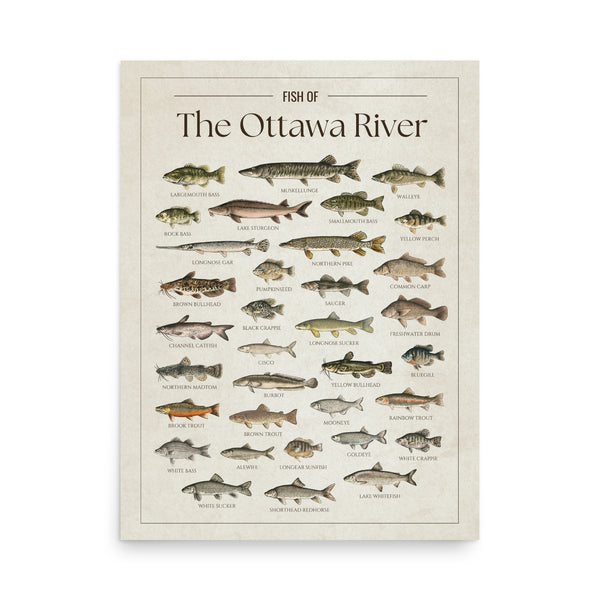 The Ottawa River Print