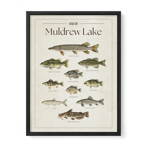 Muldrew Lake Print