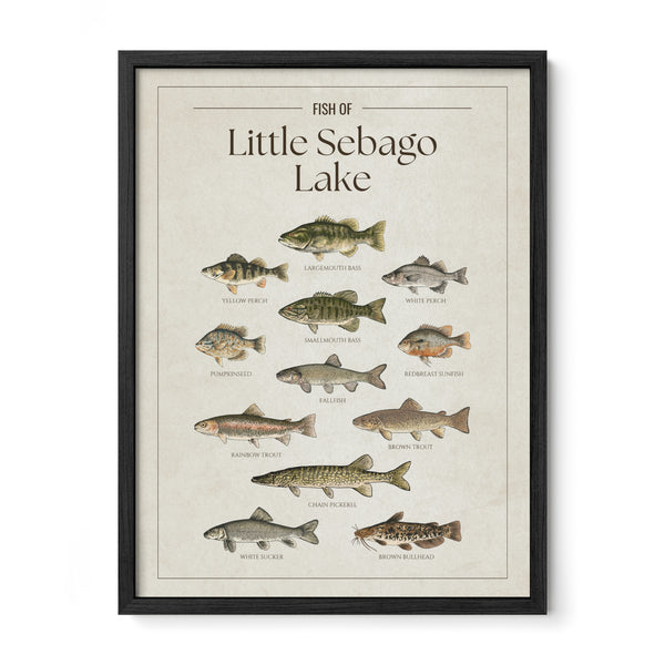 Little Sebago Lake Print