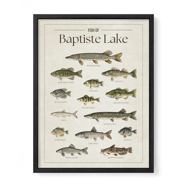Baptiste Lake Print