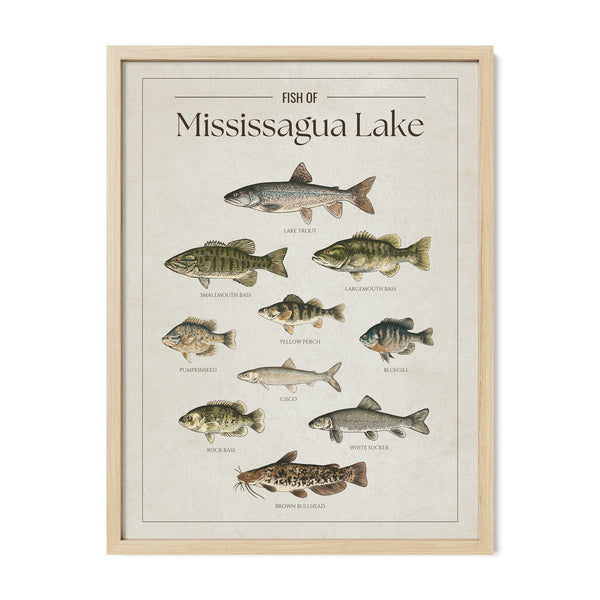 Mississagua Lake Print