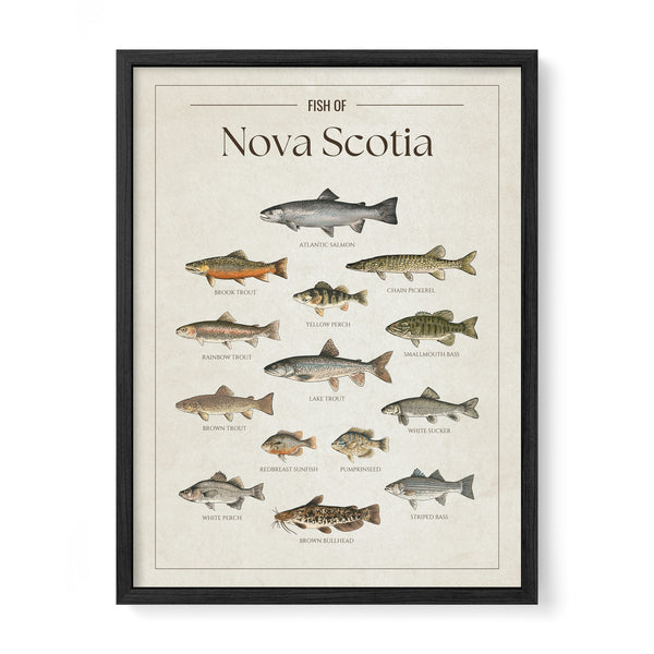 Nova Scotia Print