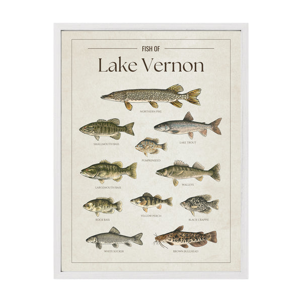 Lake Vernon Print