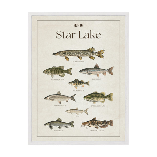 Star Lake Print