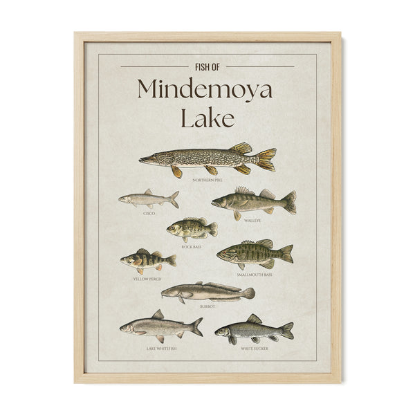 Mindemoya Lake Print
