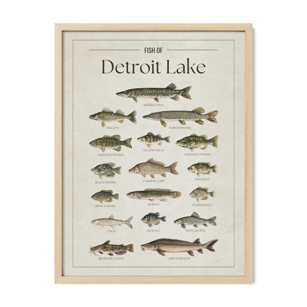 Detroit Lake Print
