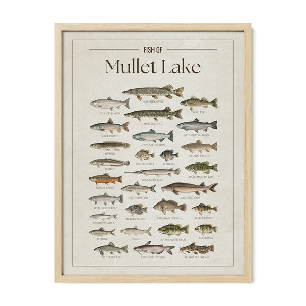Mullet Lake Print