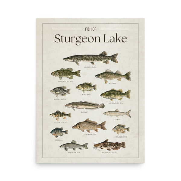 Sturgeon Lake Print