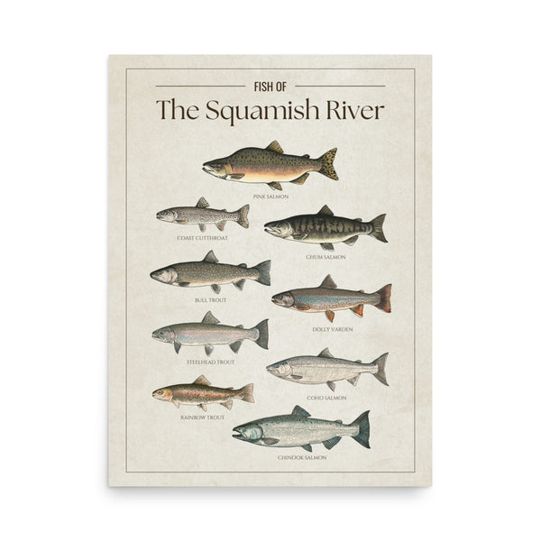 Squamish River Print