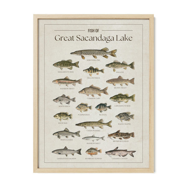 Great Sacandaga Lake Print