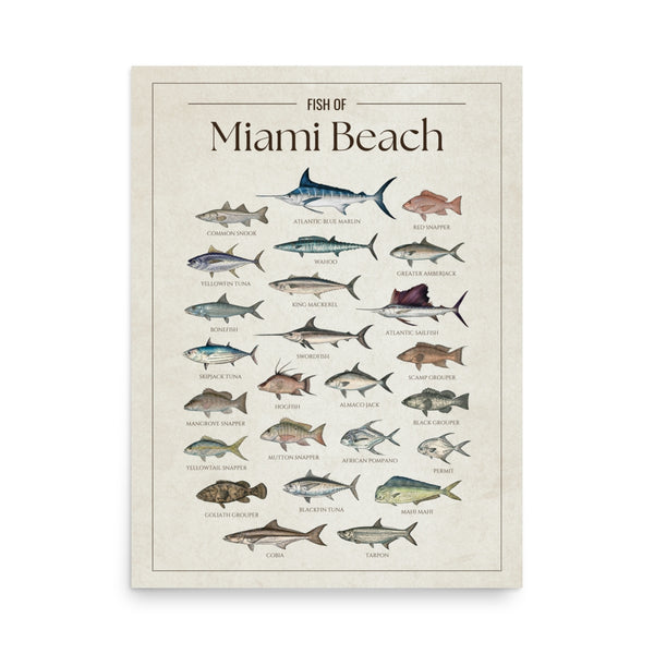 Miami Beach Print