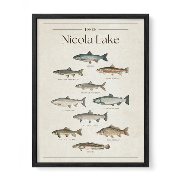 Nicola Lake Print