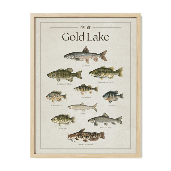 Gold Lake Print