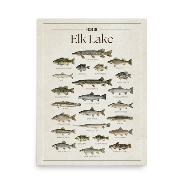 Elk Lake Print