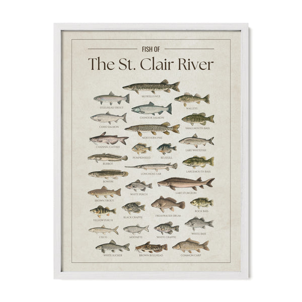 St. Clair River Print