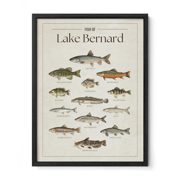 Lake Bernard Print