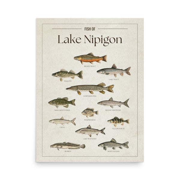 Lake Nipigon Print