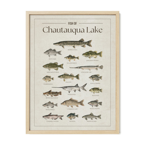 Chautauqua Lake Print
