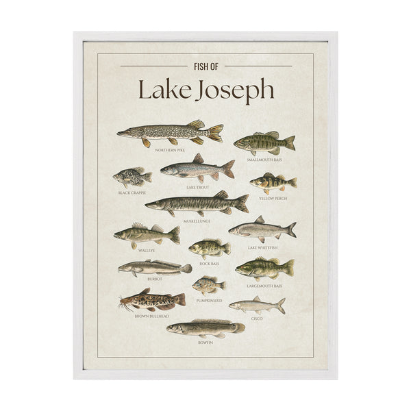 Lake Joseph Print