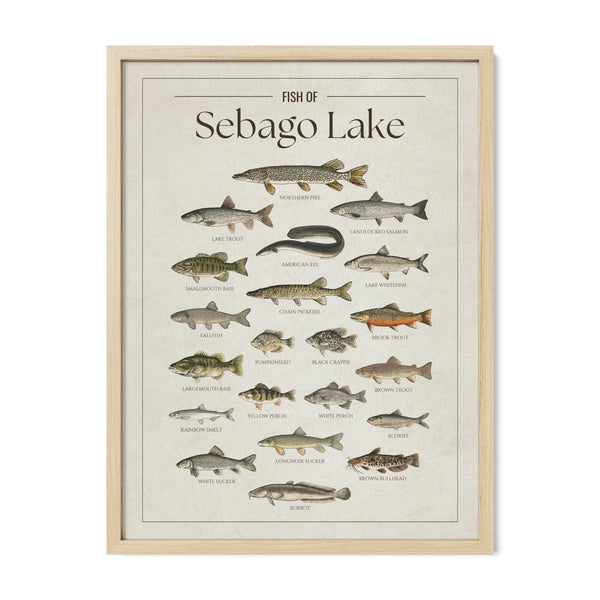 Sebago Lake Print
