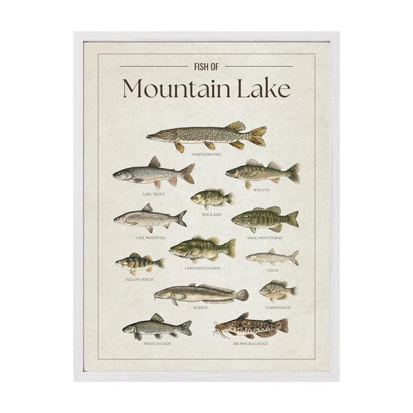 Mountain Lake Print