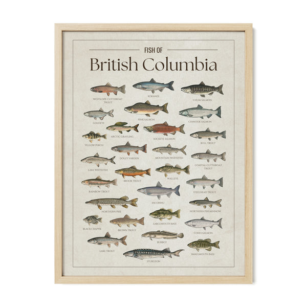British Columbia Print