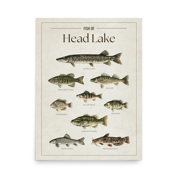 Head Lake Print