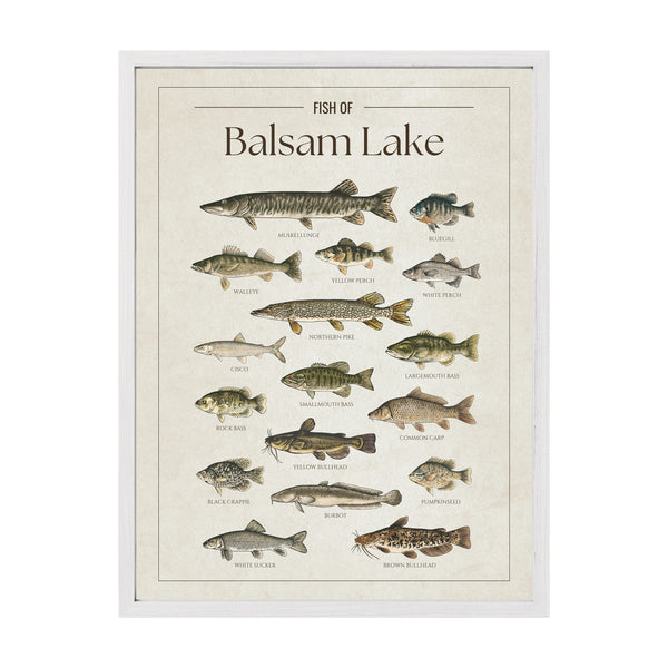 Balsam Lake Print