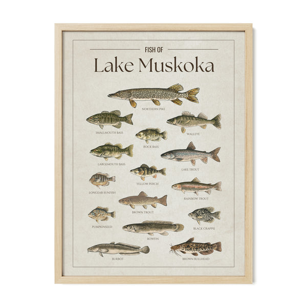 Lake Muskoka Print