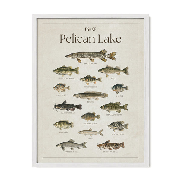 Pelican Lake Print