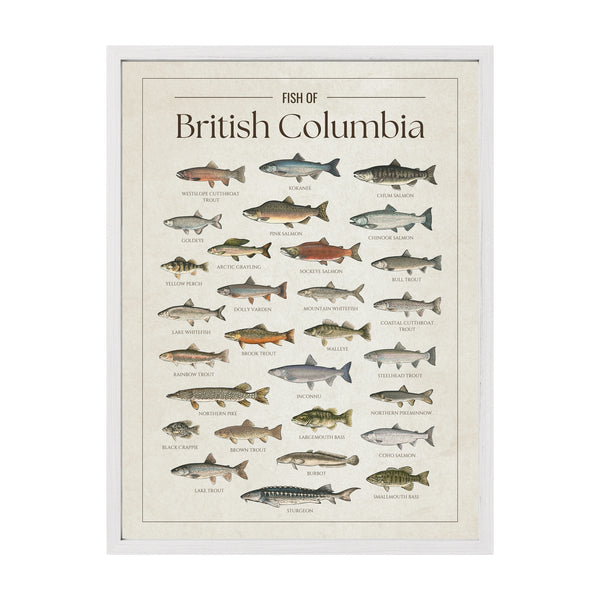 British Columbia Print