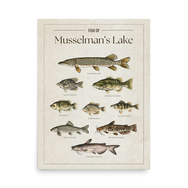 Musselman's Lake Print