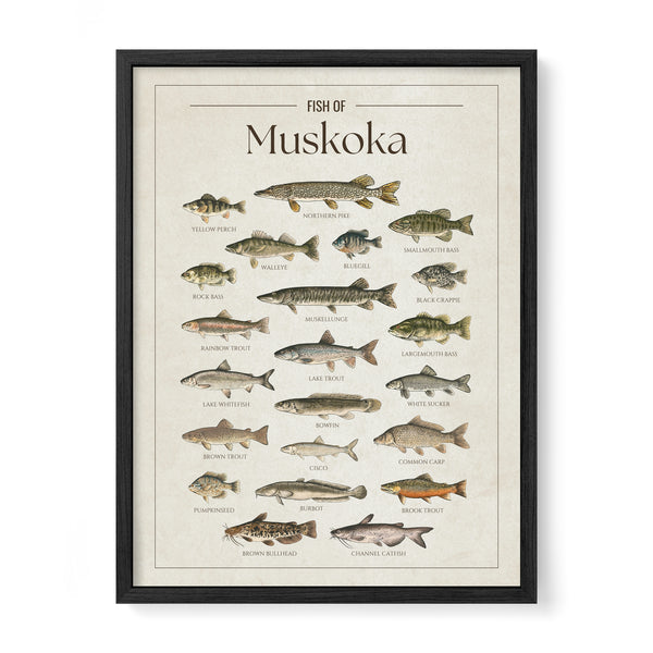 Muskoka Print