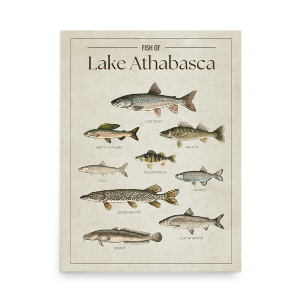 Lake Athabasca Print