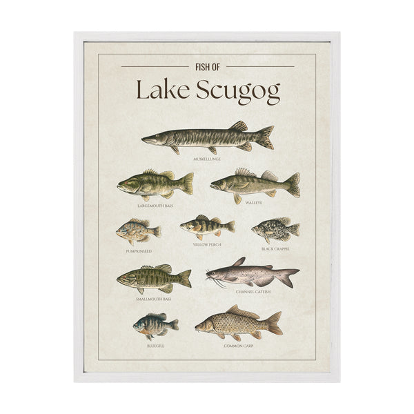 Lake Scugog Print