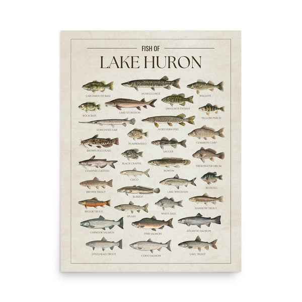 Lake Huron Print
