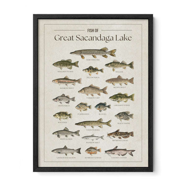 Great Sacandaga Lake Print