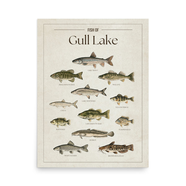 Gull Lake Print