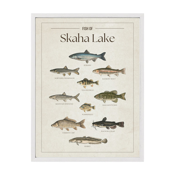 Skaha Lake Print