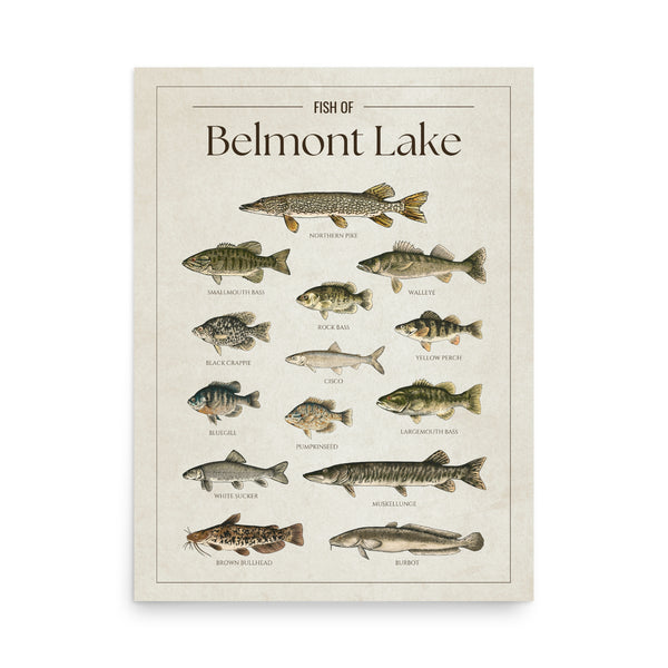 Belmont Lake Print