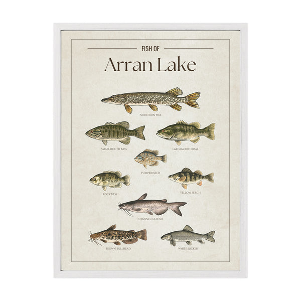 Arran Lake Print