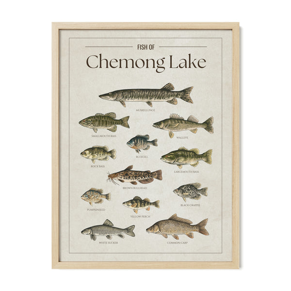 Chemong Lake Print