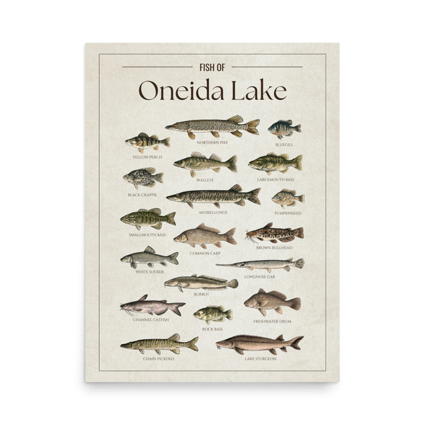 Oneida Lake Print